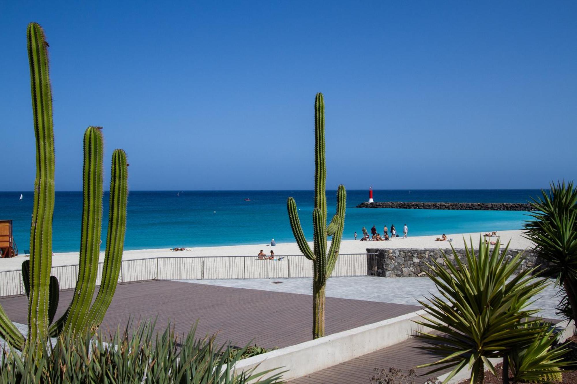 Atlantic Loft Puerto del Rosario (Fuerteventura)
